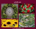 تصاویر نرم افزار